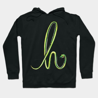 H - Mexican parrot snake Hoodie